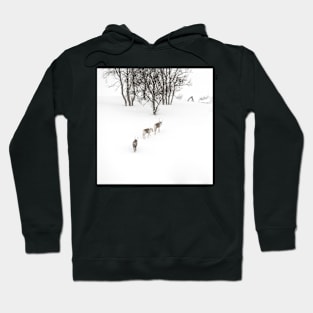 Reindeer in the snow Hoodie